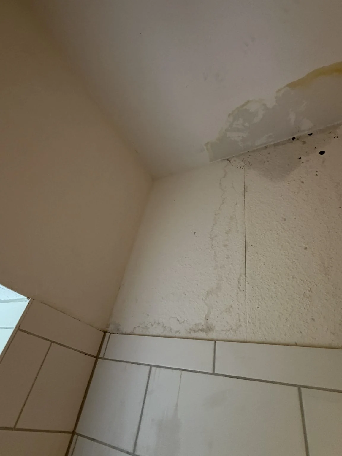 Sichtbarer Feuchteschaden an Wand und Decke oberhalb der Badezimmerfliesen